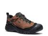 Targhee IV Waterproof Hiking Shoe - Men's Dark Brown view