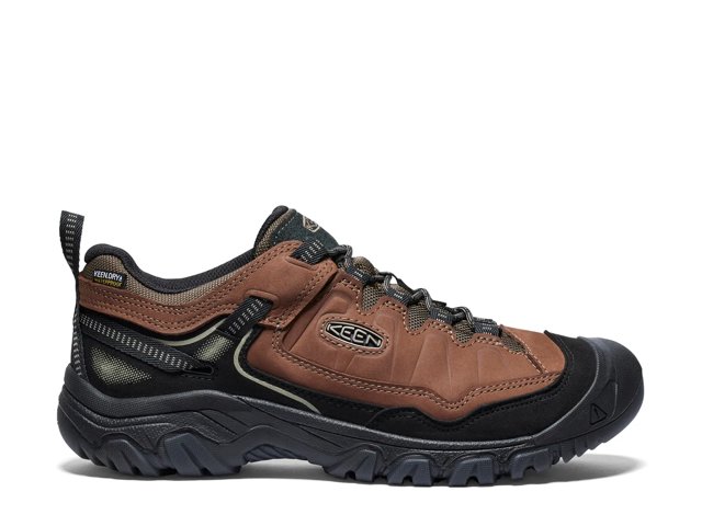Targhee IV Waterproof Hiking Shoe - Men's