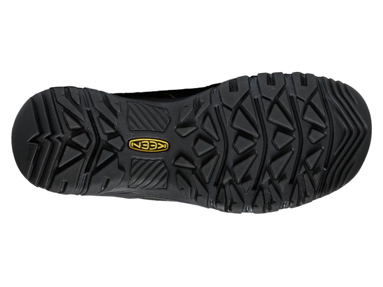 Targhee IV Waterproof Hiking Boot - Men's