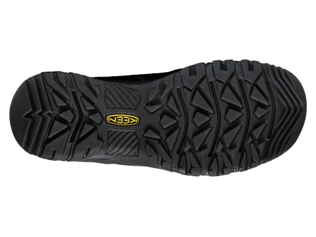 Targhee IV Waterproof Hiking Boot - Men's