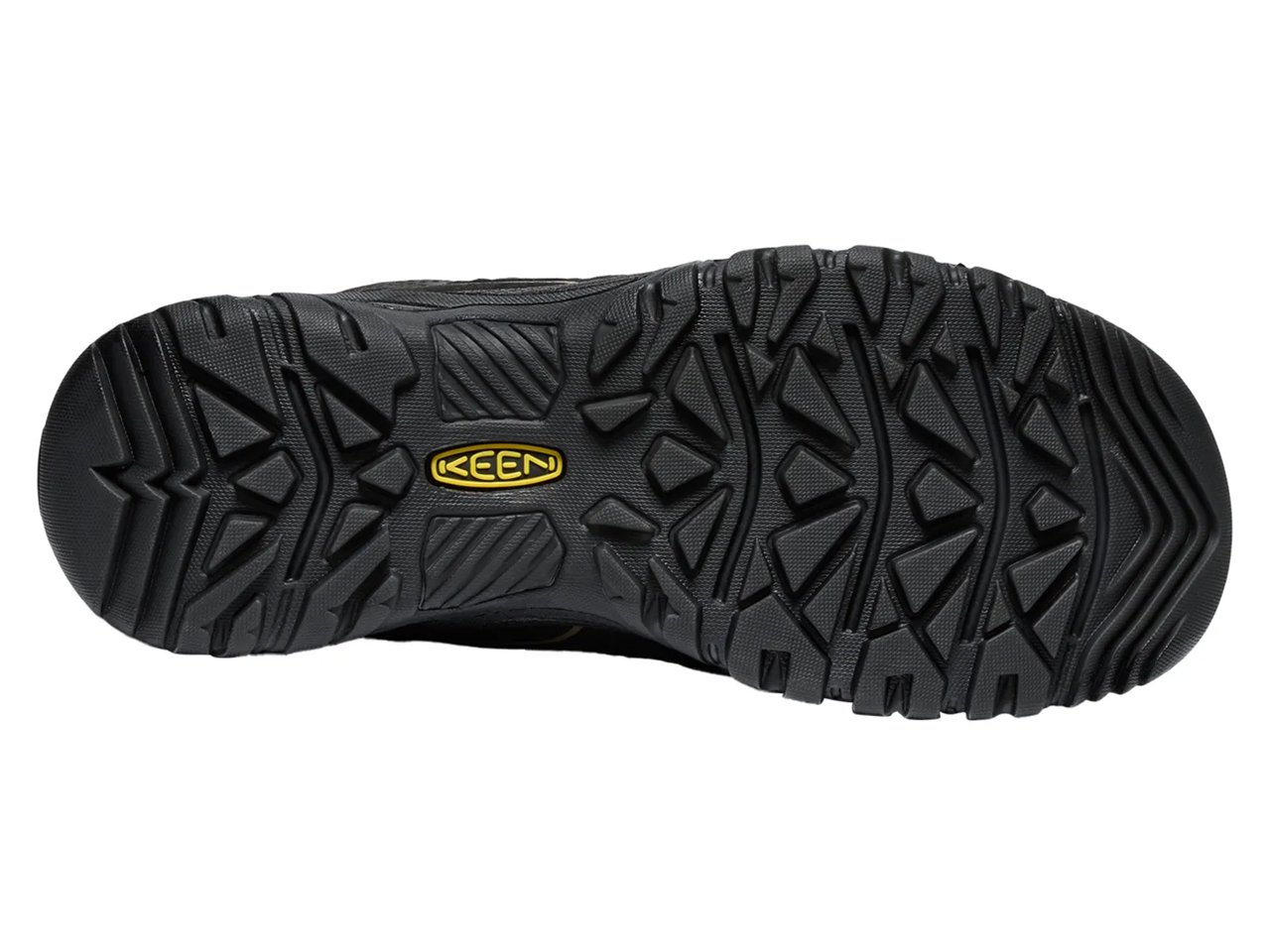 Targhee IV Waterproof Hiking Boot - Men's