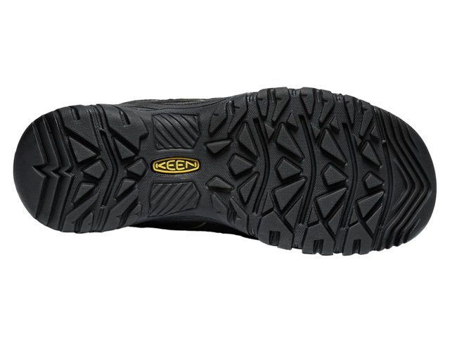 Targhee IV Waterproof Hiking Boot - Men's