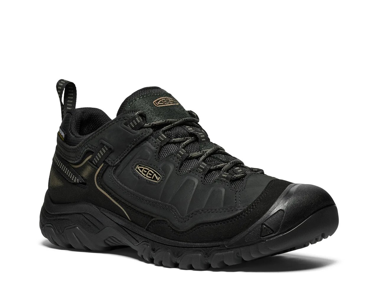 Targhee IV Waterproof Hiking Shoe - Men's