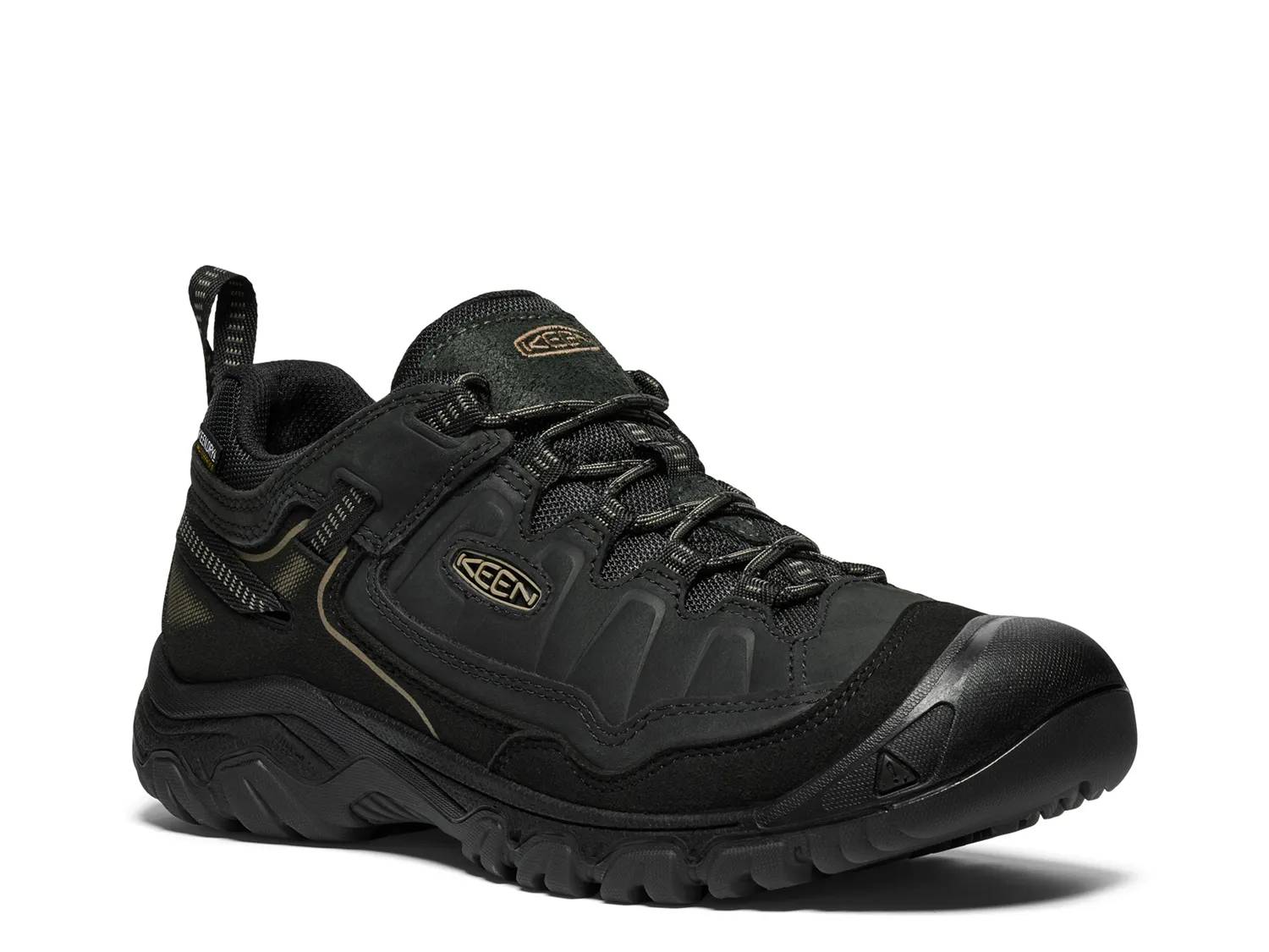 Targhee IV Waterproof Hiking Shoe - Men's