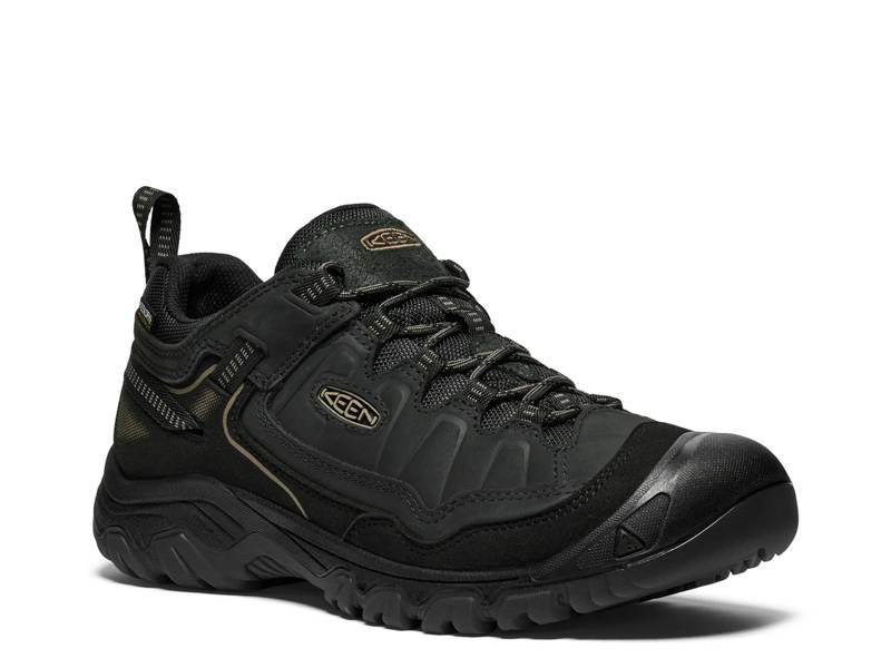 Targhee IV Waterproof Hiking Shoe - Men's