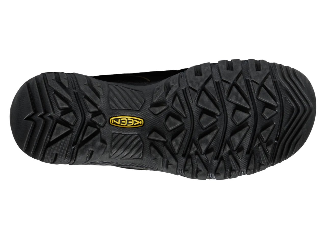 Targhee IV Waterproof Hiking Shoe - Men's