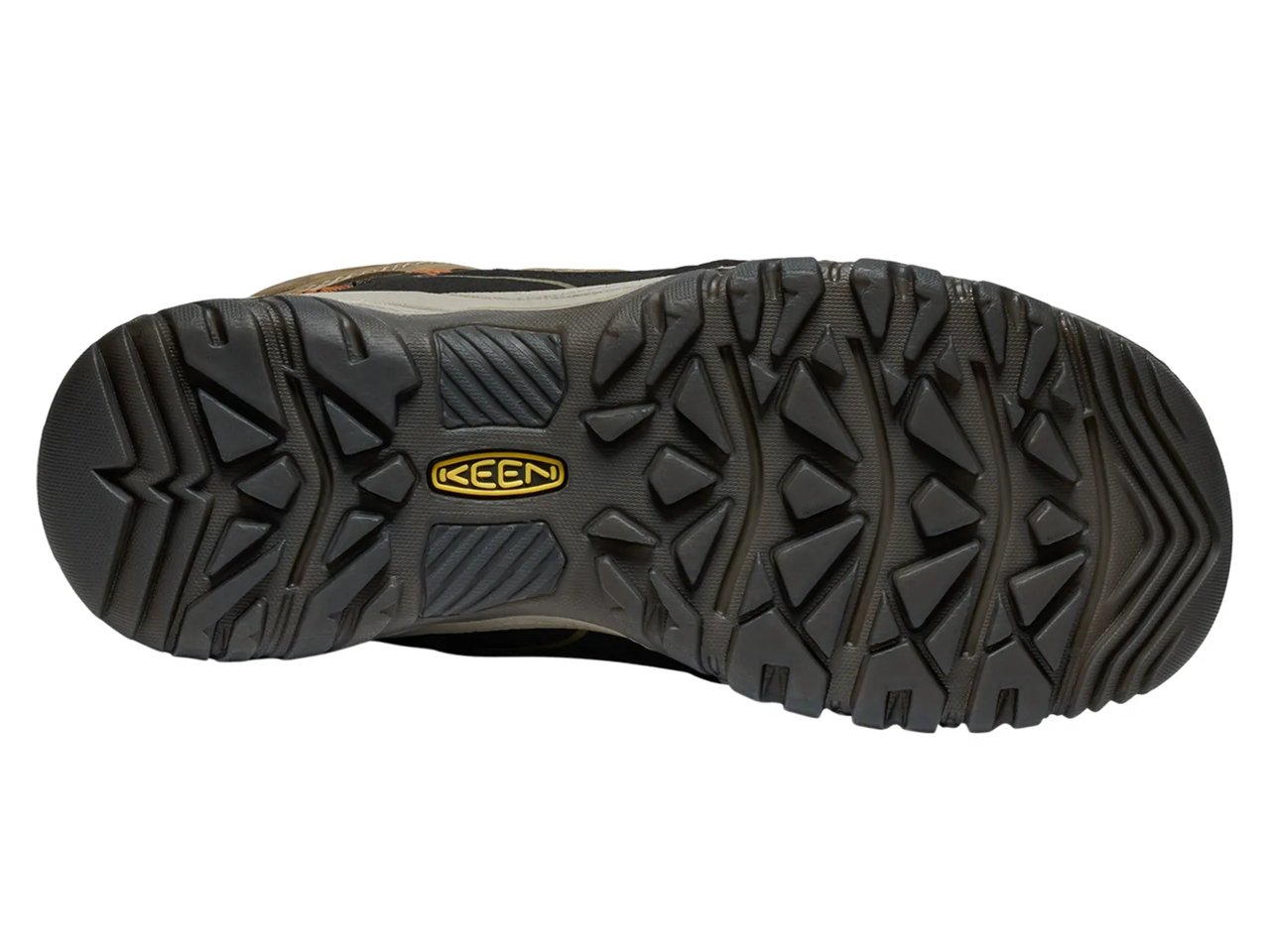 Targhee IV Waterproof Hiking Boot - Men's