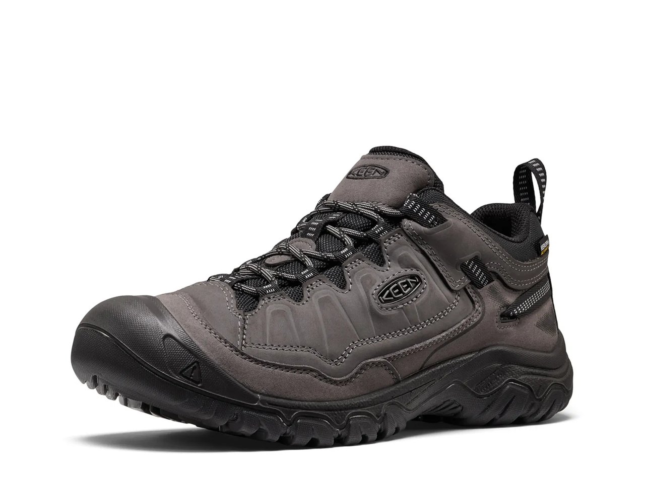 Targhee IV Waterproof Hiking Shoe - Men's