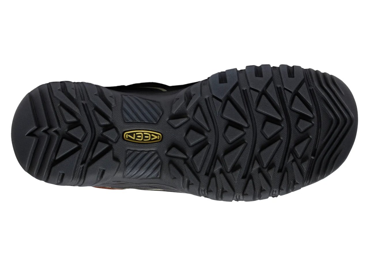 Targhee IV Waterproof Hiking Shoe - Men's