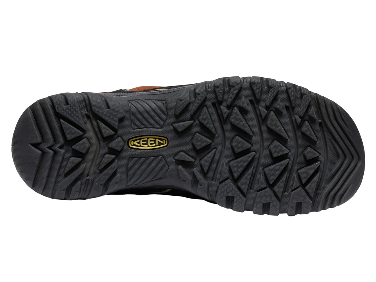 Targhee IV Waterproof Hiking Shoe - Men's