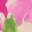 Donna 3 Pump Pink/Green Floral Print view