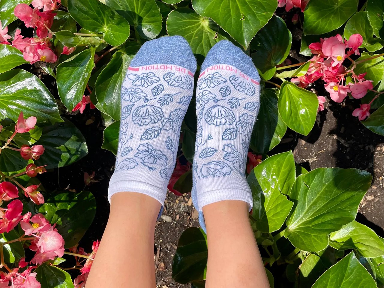 Floral & Solid Women's No Show Socks - 2 Pack