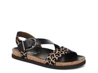 Lance Sandal Black/Tan Leopard Print view