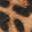 Ria Pump Tan/Brown/Black Leopard Print Calf Hair view