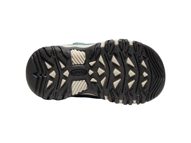 Targhee IV Waterproof Hiking Shoe - Kids'