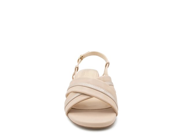 Nancy Sandal