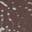 Katrel Mary Jane Dark Brown Patent Synthetic view