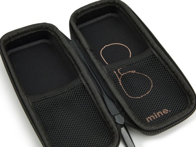 Double Sunglasses Hard Case