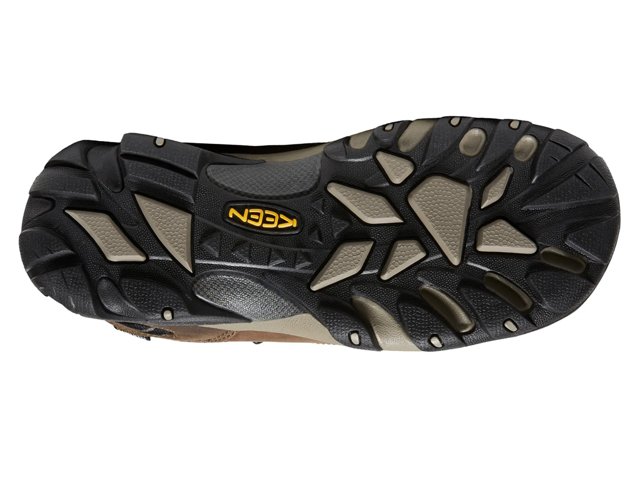 Targhee II Waterproof Hiking Boot - Men's