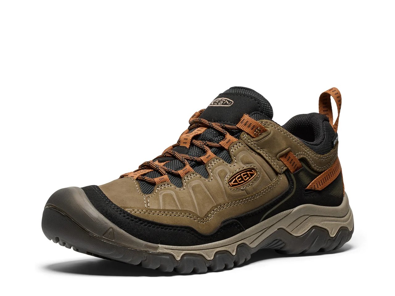 Targhee IV Waterproof Hiking Shoe - Men's