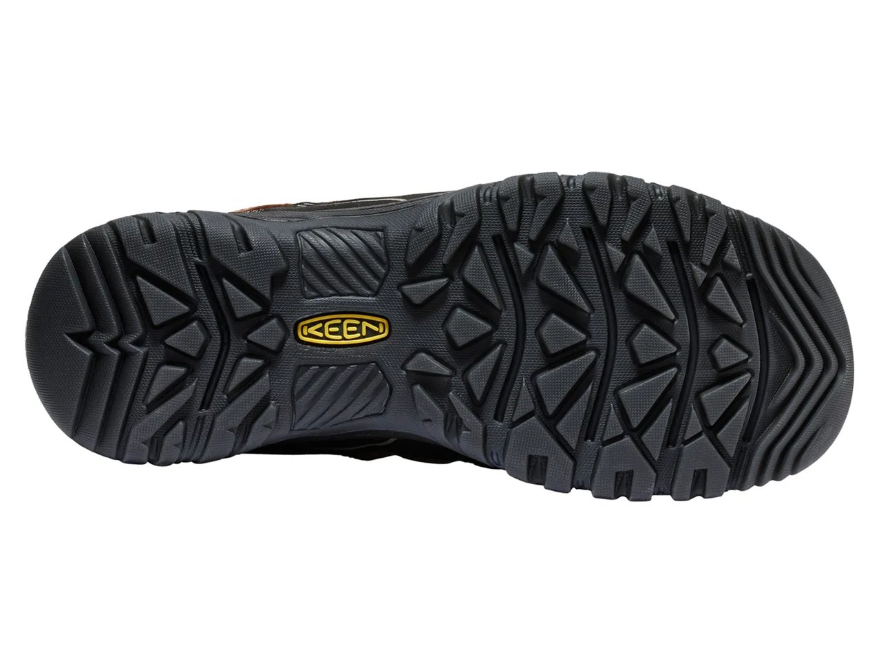 Targhee IV Hiking Shoe - Men's