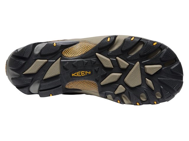 Targhee II Waterproof Hiking Shoe - Men's