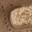 Colormefun Sneaker Taupe view