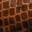 Itzy Pump Brown Snake Print view