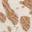 Original Feels Platform Clog Tan view