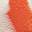 Boga Clog - Kids' Red/Multicolor view
