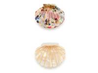 Seashell Hair Clips Set - 2 Pack Multicolor view
