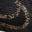 Run Defy Running Shoe - Women's Leopard Print view