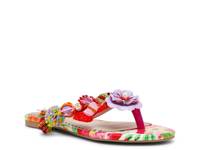 Doloris Multicolor view