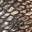 Evirra Sandal Bronze view