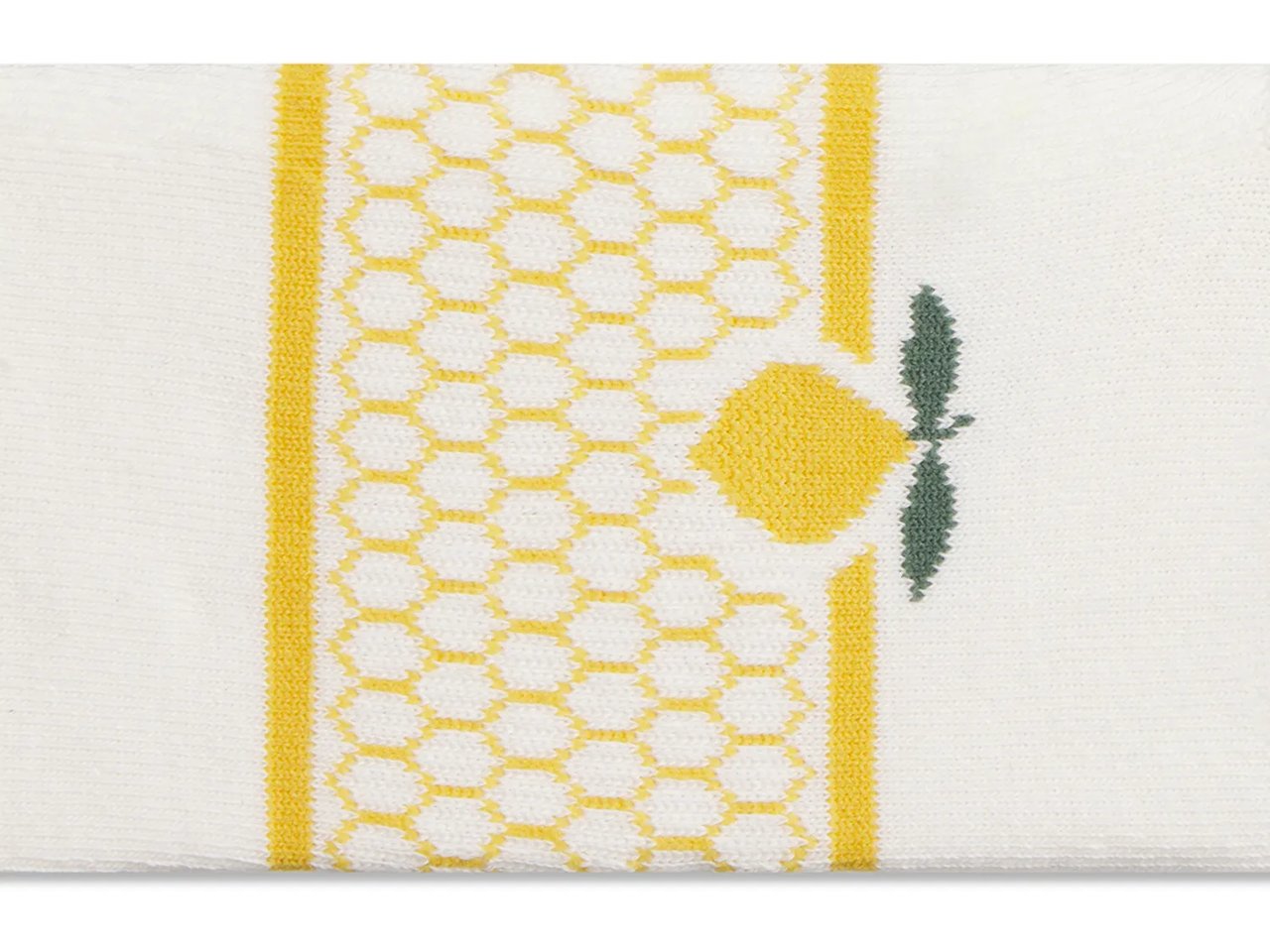 Novelty Women's Ankle Socks - 1 Pack