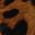 Settle Down Pump Tan Leopard Print view