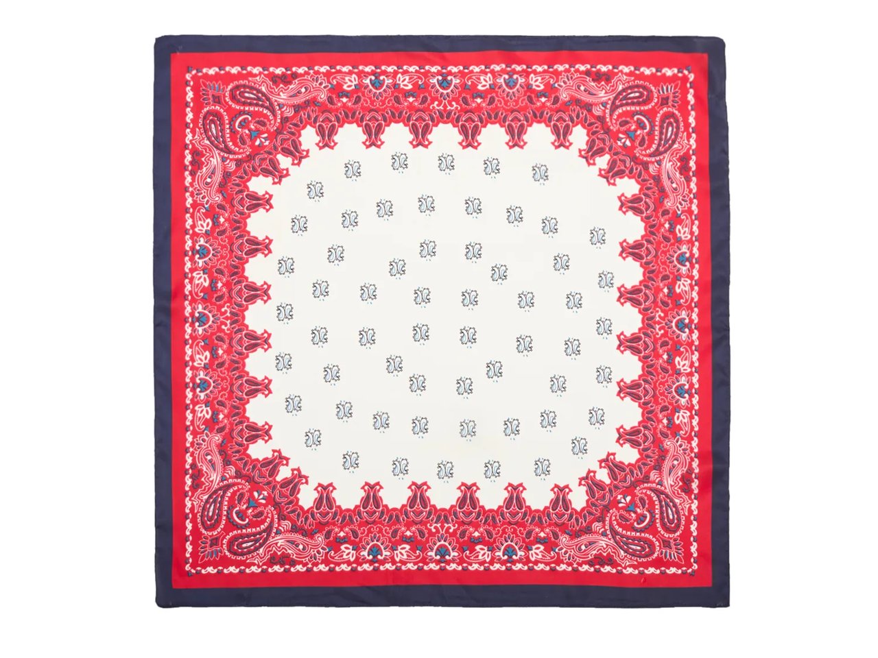 Bandanna Print Scarf
