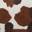 Rylie Shoulder Bag Cow Print view
