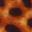 Daria Clog Tan/Black Leopard Print Calf Hair view