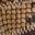 Andromeda Pump Brown Snake Print view