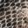 Lifeway Sandal Grey/White/Black Snake Print view