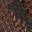 Hildan Bootie Snake Print view