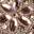 Meditation Luxe Dazzling Forever Flip Flop Taupe view