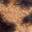 Maryanne Mary Jane Slipper - Women's Leopard Print view