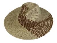 Straw Panama Hat Tan view