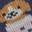Dog Sweater Women's Crew Socks Multicolor view