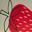 Skipper II Strawberries Rain Boot - Kids' White/Red Strawberry Print view