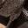 Tinah Sneaker Dark Brown view