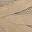 Mojave Mesh Sneaker - Women's Sand view
