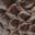 Paytonn Mule Brown Croc Print view